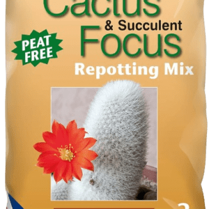 MDCAF3 Cactus & Succulent Focus