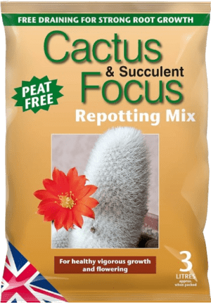 MDCAF3 Cactus & Succulent Focus
