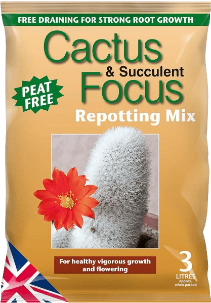 MDCAF3 Cactus & Succulent Focus