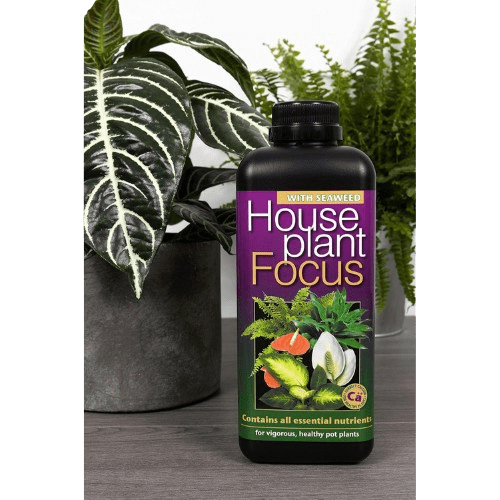 Balanced Liquid Concentrated Fertiliser