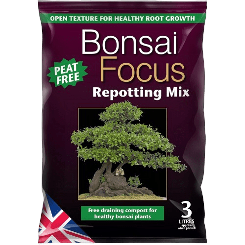 MDBF2 BONSAI FOCUS REPOTTING MIX 3