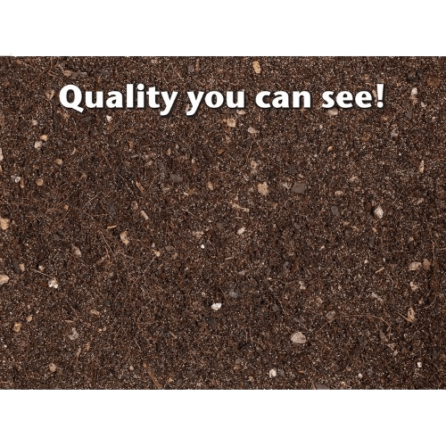 MDBF2 BONSAI FOCUS REPOTTING MIX 3