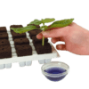 Growth Technology Root Riot