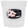 Clear Orchid Pot 15 cm
